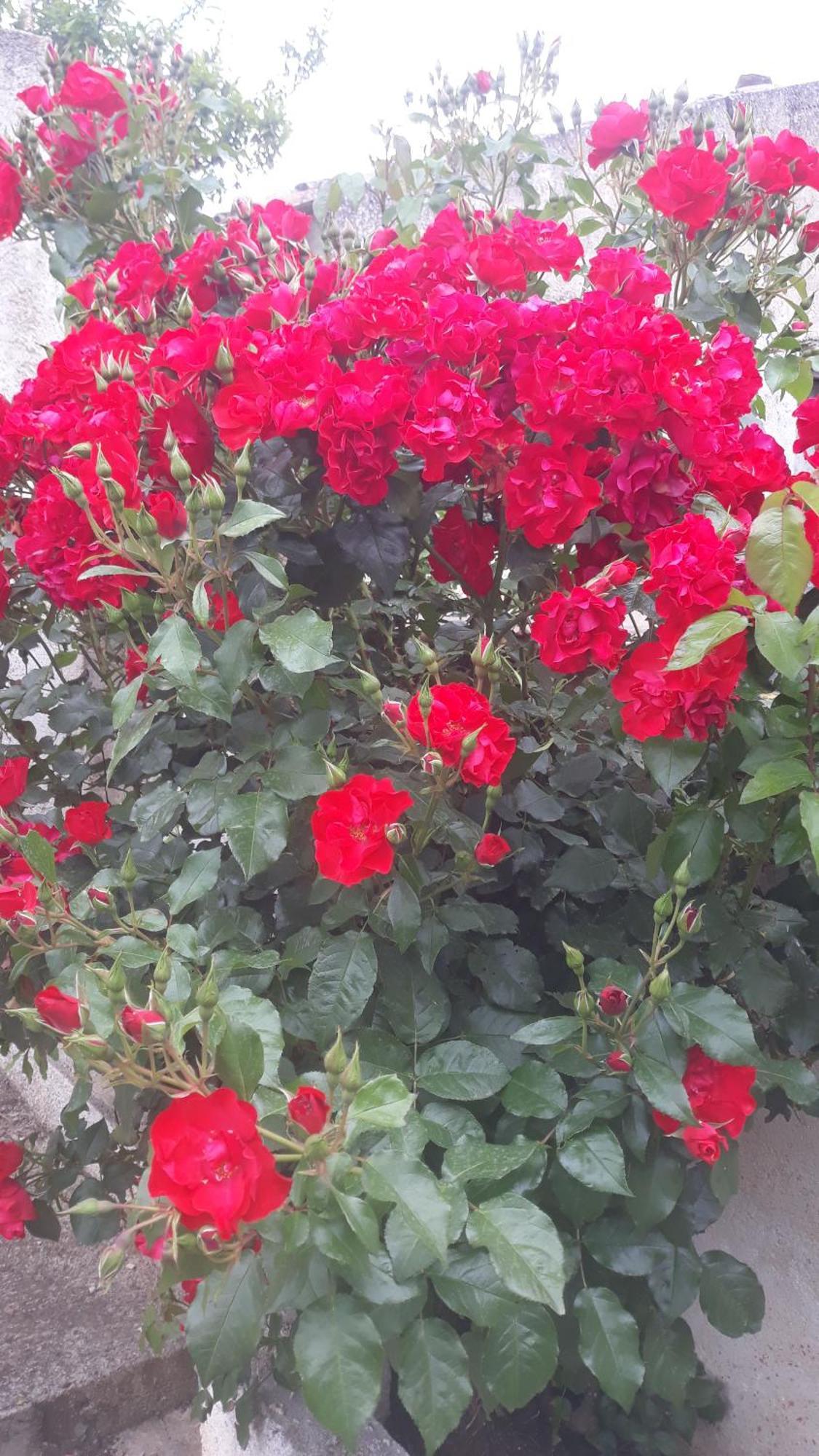Bed and Breakfast La Casa Di Bia Корлеоне Номер фото